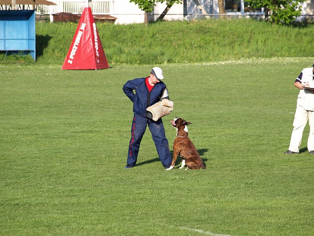 www.atibox.net * www.euroboxer.eu * www.boxergenealogia.eu
